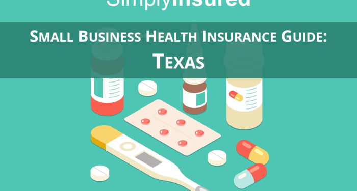 Texas Small Business Health Insurance Guide - Advice Blog